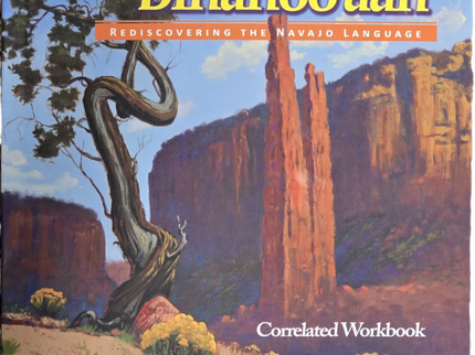 Diné Bizaad Bináhoo'aah: Rediscovering the Navajo Language: An Introduction to the Navajo Language (Correlated book)