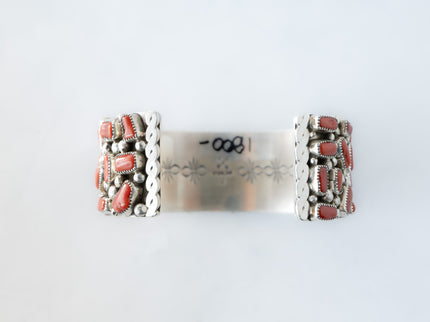 Pair of silver and coral earrings on a white background