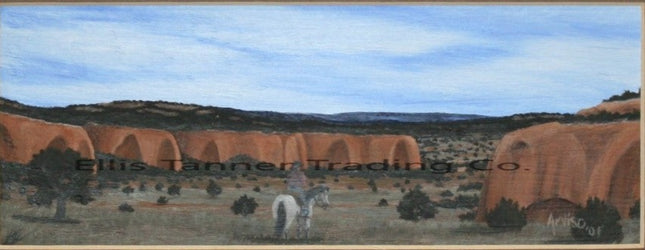 Grandfather's Land by Dennis Arviso